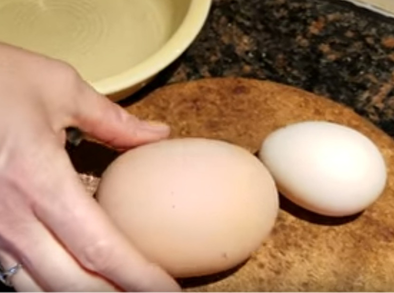大きい卵