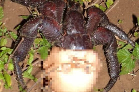 インポテンスの別の言葉