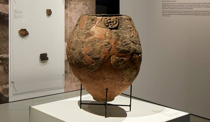 【世界最古】8千年前の土器からワインの痕跡が見つかり話題に！ edamame.