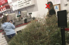 【正気か！？】1月にクリスマスツリーを返品しに来る客が登場！コストコの対応が話題に！