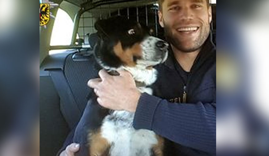 【た、逮捕される…！】迷子のわんこ、警察に保護されたせいかびっくり顔で凍りつく・・・ edamame.