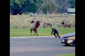 PEUT PROVOQUER UN DYSFONCTIONNEMENT ÉRECTILE